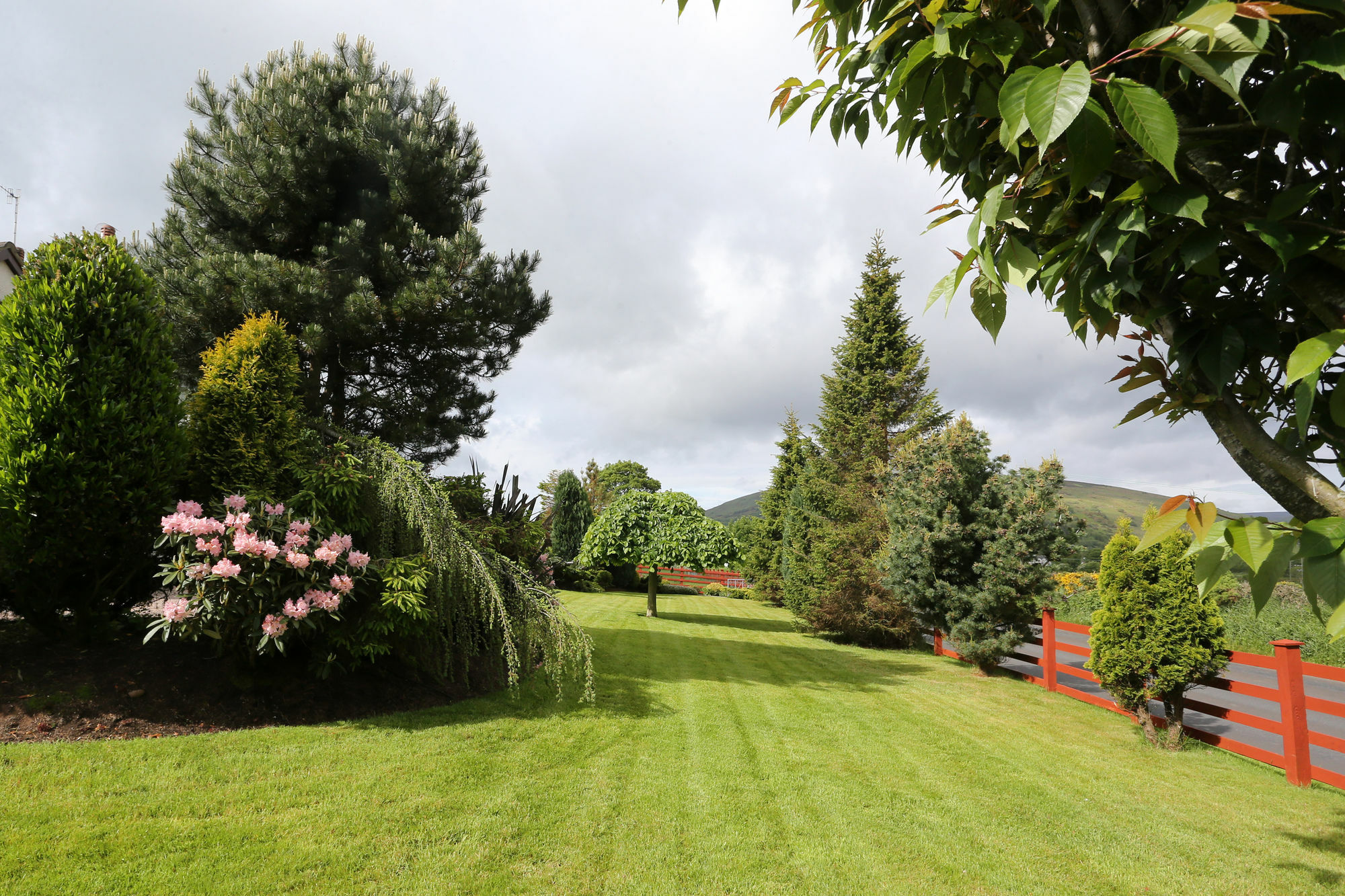 Sleepy Hollow B&B Ballymena Extérieur photo