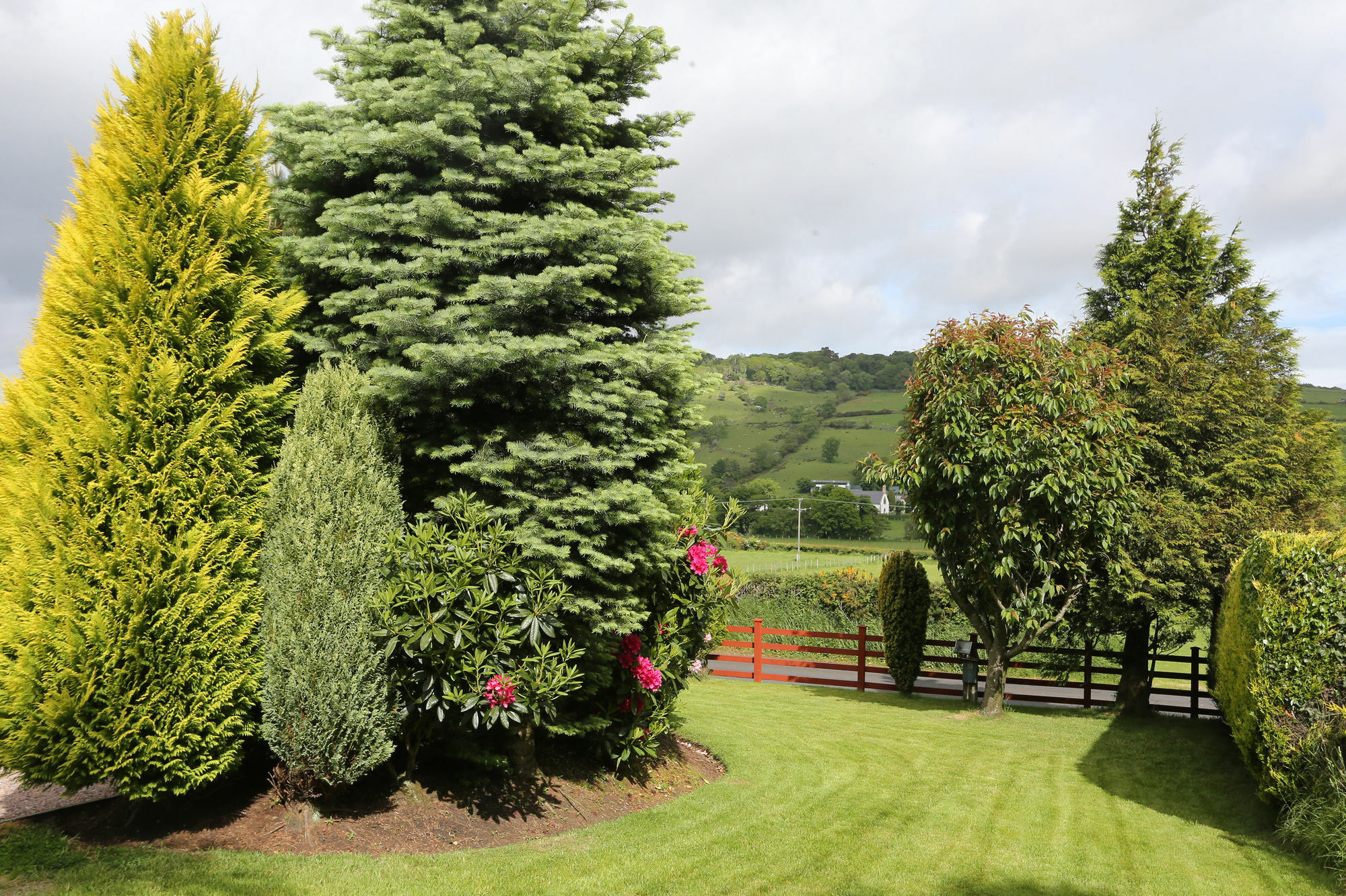 Sleepy Hollow B&B Ballymena Extérieur photo