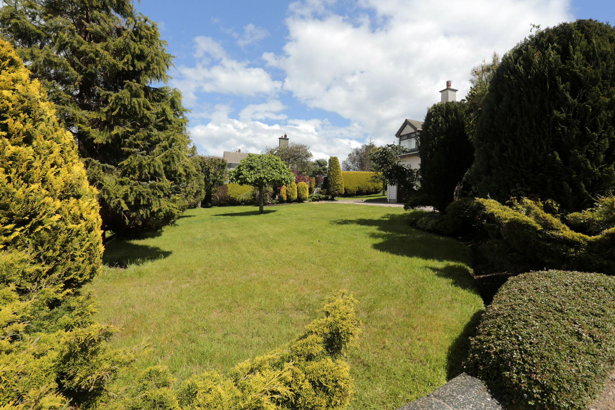 Sleepy Hollow B&B Ballymena Extérieur photo